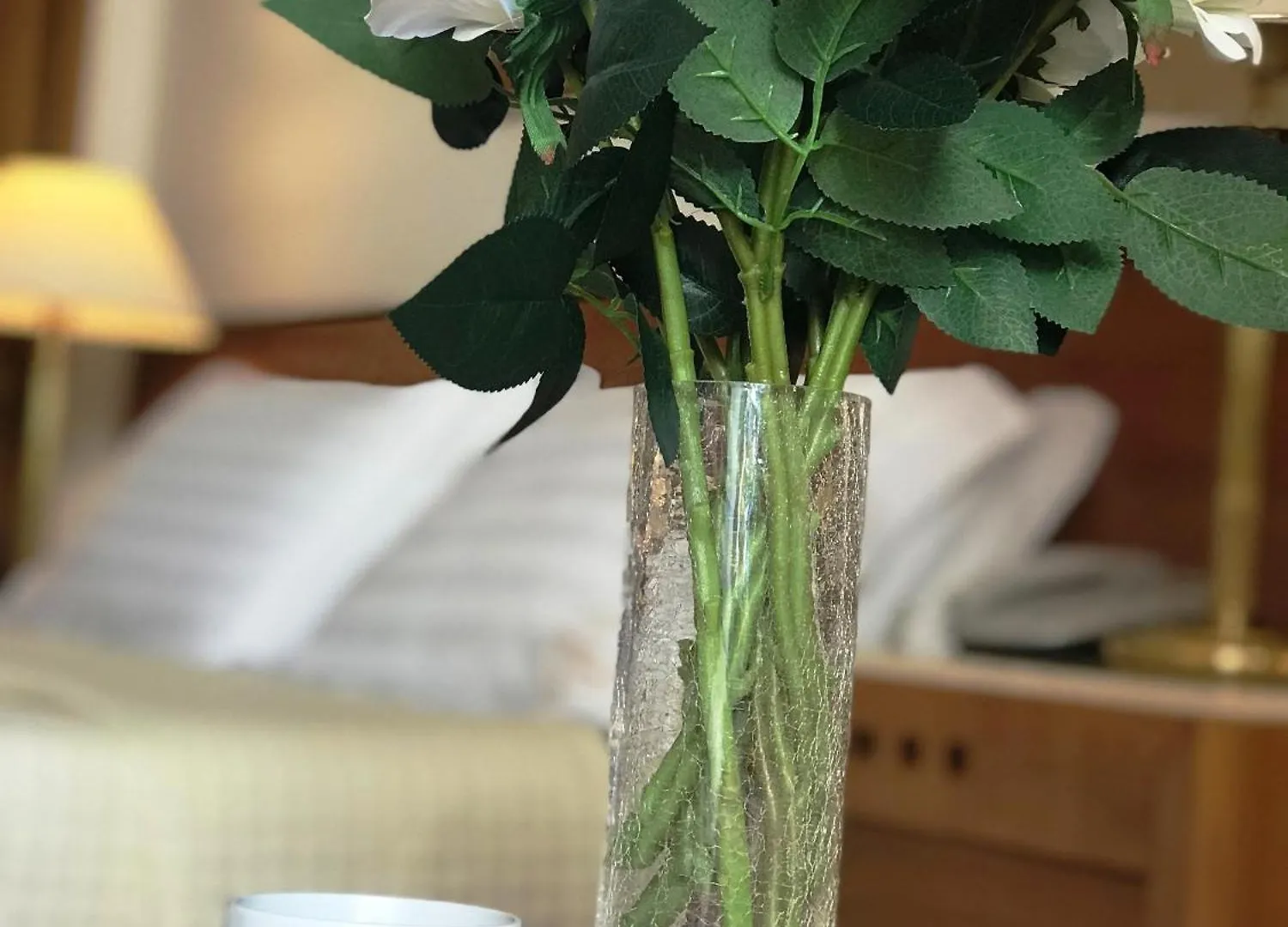Chateau Linza Resort Tirana Hotel